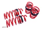 Megan Lowering Coil Springs For Audi R8 08-15 V8 V10 0.75"F 1.25"R. Fixed Price $159.99.
