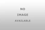 Dorman 69 291 Leaf Spring. Fixed Price $360.20.