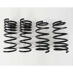 Rs-r N134D For 10+ Nissan 370Z (Z34) Down Sus Springs. Fixed Price $273.68.