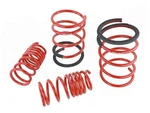 SKUNK2 Racing Lowering Springs Kit For 2005-2006 Acura Rsx Pn: 519-05-1672. Fixed Price $229.38.