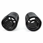 Arnott Industries Air Spring To Coil Conversion Kit P/N:C-2988. Fixed Price $327.51.