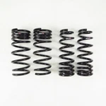 Rs-r T995S Super Down Suspension Springs For 2015+ Lexus RC200T/RC300/RC350 Rwd. Fixed Price $308.45.