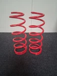 Rso Suspension Red 2PC Rear Ld Coil Springs For 98-07 Toyota Land Cruiser 100. Fixed Price $139.99.