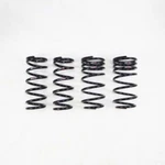 Rs-r T981TD TI2000 Down Suspension For 2017-2021 Lexus LC500. Fixed Price $633.53.