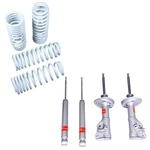 Truhart Lowering Springs And Sport Shocks For 2006-2011 Honda Civic Si. Fixed Price $387.00.