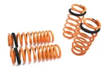 Megan Lowering Springs For 06-10 Dodge Charger Se Sxt R/t V6 V8 Rwd Only. Fixed Price $2500.00.