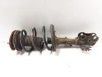 Driver Strut Front Vin K 5TH Digit Limited Fits 13-18 Avalon 2626342. Fixed Price $105.00.