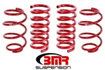 Bmr SP763R Performance Version Lowering Springs Set Fits 2015-2017 S550 Mustang. Fixed Price $239.95.