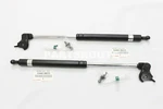 Lexus LX450 Toyota Land Cruiser FZJ80 Oem Hood Lift Support Strut Damper Shock. Fixed Price $149.99.