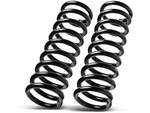 Front Autopart Premium Coil Spring Set Fits Oldsmobile Cutlass 1973-1974 76QNWD. Fixed Price $133.70.
