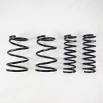 Rs-r F506W Lowering Springs For Honda Civic 2016-2021. Fixed Price $309.00.