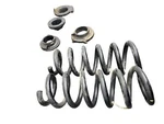 2021 2023 Ford Mustang Mach-e Oem Rear Coil Spring Set (2) *15K LJ9C5560. Fixed Price $68.00.