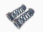 17-20 Jaguar F-pace Awd Rear Left & Right Coil Spring Oem Cm. Fixed Price $69.65.