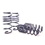 H And Ford Fiesta 2010-2019 1.6L/1.0L Ecoboost Sport Spring. Fixed Price $324.24.