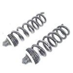 Pair Rear Coil Springs Oem 2022 Bmw 430I. Fixed Price $53.99.