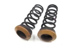97-06 Jaguar XK8 Xkr X100 Rear Right Left Suspension Coil Spring JLM12342 Set. Fixed Price $142.00.