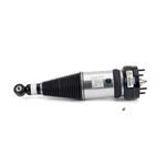 Arnott Industries Rear Air Suspension Strut AS-3234 For Jaguar. Fixed Price $603.31.