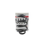 Coil Spring Bmw E46 330CI 325I 325CI 323CI 325XI Lesjofors 4208432. Fixed Price $50.80.
