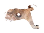 Triumph TR6 TR250 Rear Trailing Control Arm Suspension 1967-1976. Fixed Price $129.00.
