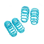Godspeed Project Traction-s Lowering Springs For 06-21 Volkswagen Vw Passat Fwd. Fixed Price $162.00.