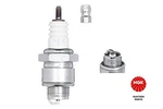 Spark Plug Ngk 4133. Fixed Price $6.09.