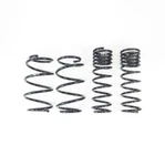 Rs F511W Down Sus Lowering Springs For 18-23 Subaru Crosstrek Awd. Fixed Price $262.95.