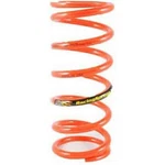 Pac Racing Springs Sportsman Conventional Rear Coil Outside Diameter: 5". Fixed Price $42.01.