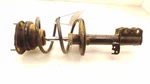04-06 Toyota Corolla Driver Side Front Left Strut Assembly. Fixed Price $109.99.