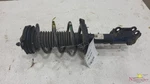 Strut Shock 2023 Forte. Fixed Price $125.00.