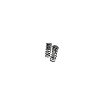 F065S Rsr Super Down Springs. Fixed Price $218.10.