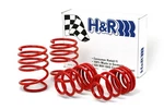 H&r Springs 29484 Race Kit. Fixed Price $248.55.