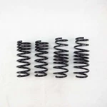 Rs N148D Down Sus Lowering Springs For 2017-2022 Infiniti Q60 Rwd. Fixed Price $340.95.