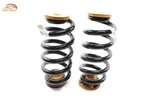 2023 2024 Cadillac Lyriq Rear Left & Right Side Coil Spring Oem -set-. Fixed Price $65.99.