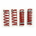 Tanabe TNF170 Sustec NF210 1.1" Front / 1.2" Rear Lowering Springs For GS350. Fixed Price $313.11.