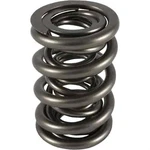 Pac Racing Springs 1248-16 1200 Series Triple Valve. Fixed Price $465.30.