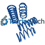 Touring Tech Lowering Springs 2.2"F/2.2"R For 2008+ Dodge Challenger Rwd Only. Fixed Price $160.00.