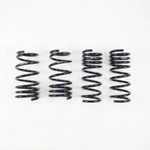 Rs-r T073D For 19-21 Toyota RAV4 (fwd) Down Sus Springs. Fixed Price $274.95.
