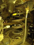 18-21 Lexus NX300 Air/coil Spring Rear Awd. Fixed Price $105.00.