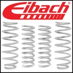 Eibach Drag Launch Springs Fit 15-24 Dodge Charger Challenger Scat Pack/hellcat. Fixed Price $363.40.