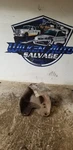 Rear Leaf Spring Fits 74-93 Ramcharger 1240514. Fixed Price $185.00.