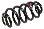 Genuine Acdelco Rear Coil Spring 13312084. Fixed Price $55.52.