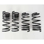 Rs-r N134D Down Suspension Lowering Springs For 2009-2014 Nissan 370Z. Fixed Price $274.63.