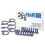 H&r 28832-2 Lowering Front Rear Springs Kit For 2012-19 Bmw F31 / 13-19 F34 Awd. Fixed Price $249.22.