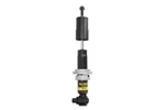 Shock Absorber, Driver Cab Suspension Monroe CB0040. Fixed Price $110.25.