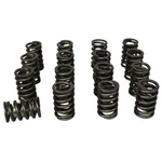 Howards Cams 98213 Single Outer Valve Springs. Fixed Price $135.99.