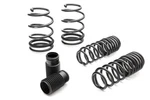 Eibach Pro Kit Performance Lowering Springs Ford Mustang 2005-2010. Fixed Price $395.00.