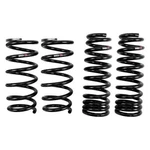 Rs-r T176S Front & Rear Superdown Lowering Coil Spring Kit For Lexus GS350 Awd. Fixed Price $302.29.