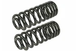 Coil Spring Set Mevotech SMS868V. Fixed Price $127.99.