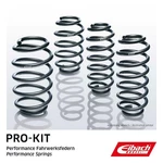 Suspension Set, Springs Eibach E10-20-029-02-22. Fixed Price $671.01.