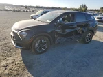 Left Rear Coil/air Spring Oem 23-24 Kia Sportage 1YR Wrnty. Fixed Price $125.00.